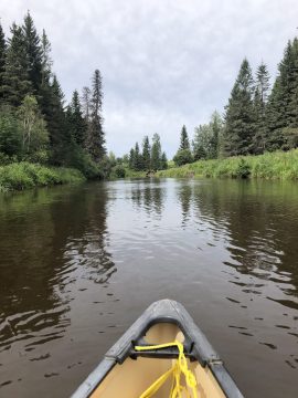 Canoe the Wandering River