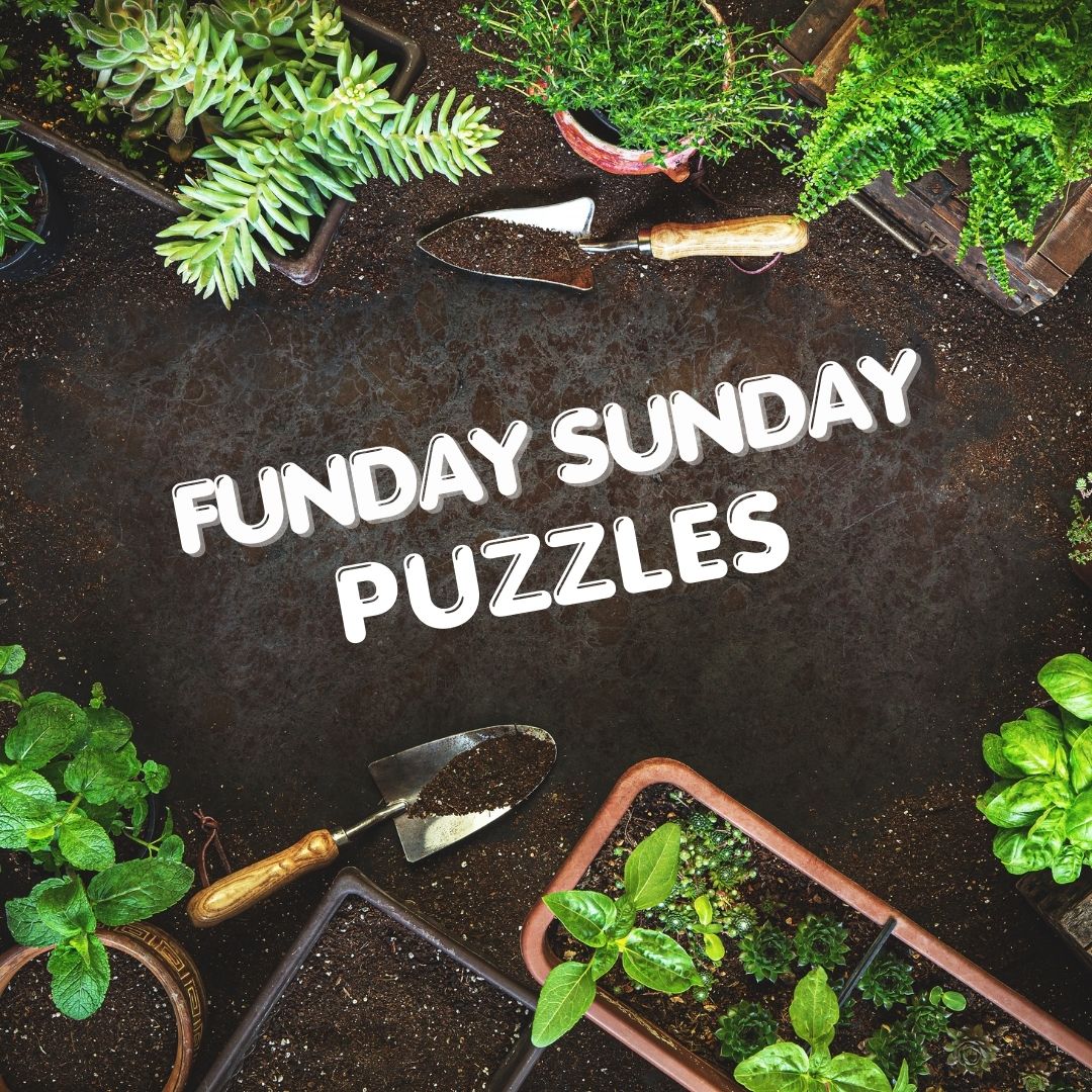 Funday Sunday Puzzles.