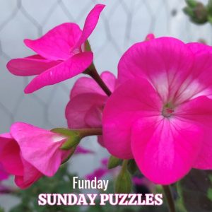 Funday-Sunday-Puzzles. Jigsaw and wordsearch fun.