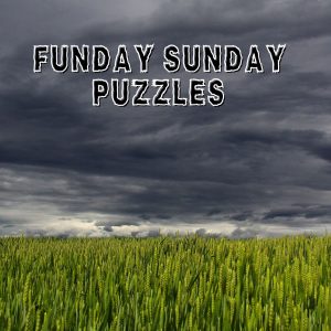 Funday Sunday Puzzles - wordsearch and jigsaw.