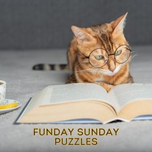 Funday Sunday Puzzles. Jigsaw and Word search for your entertainment.
