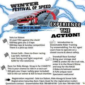 Festival-of-Speed-Experience-the-Action.