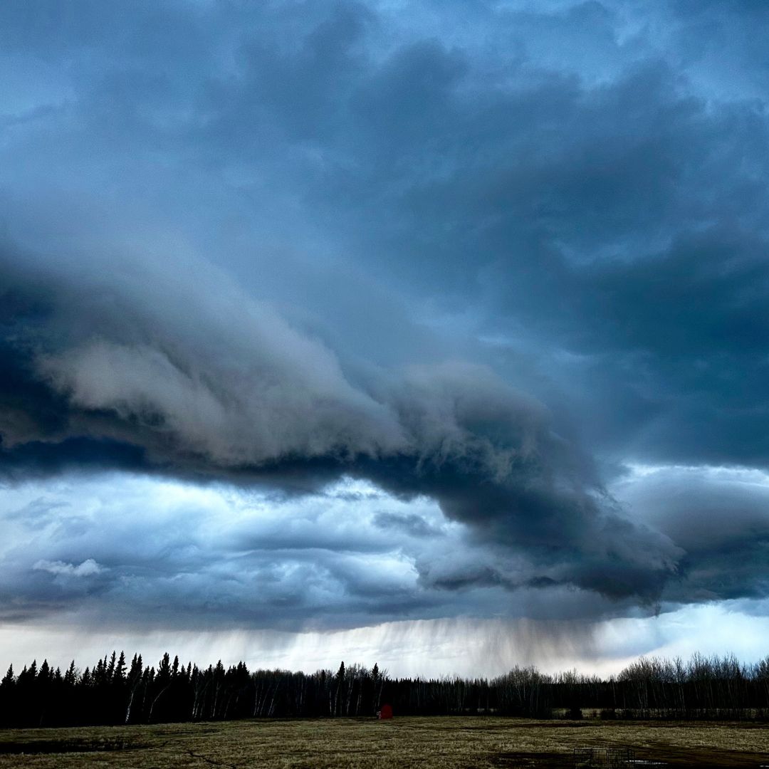 Shelda Bolt Storm Overhead 2025.