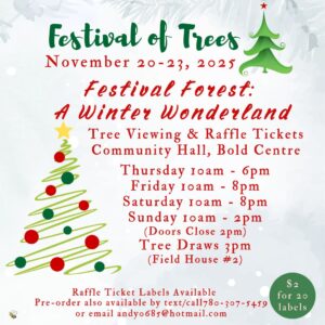 Festival of Trees Tree Viewing Thurs - Sun 2025.
