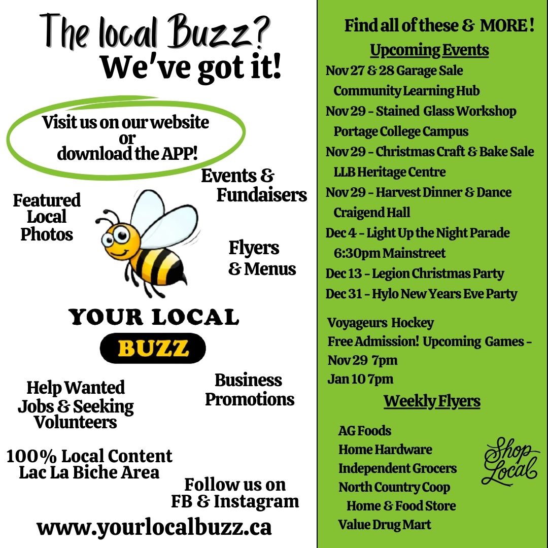 Your Local Buzz Update Nov 27, 2025.