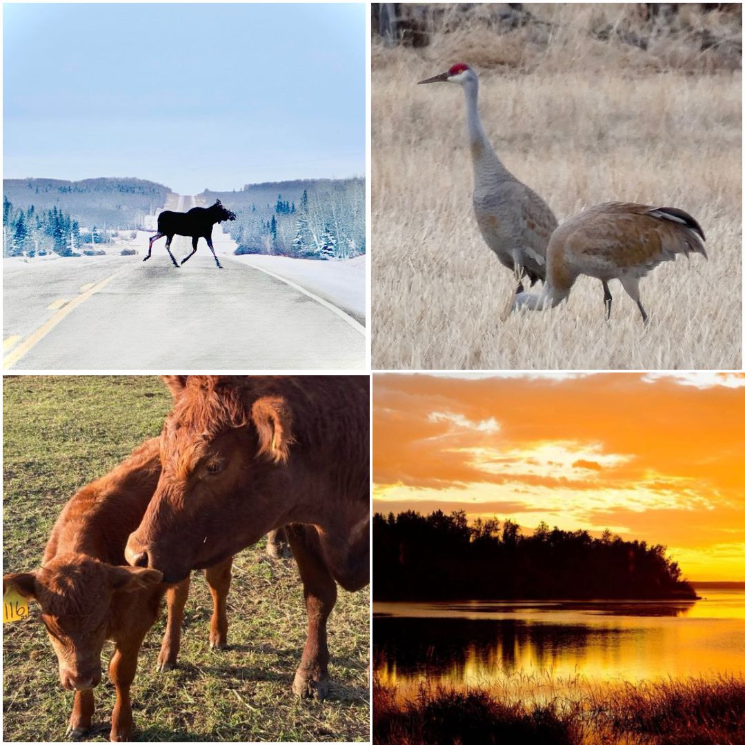 Fave Photos of 2025 Countdown.