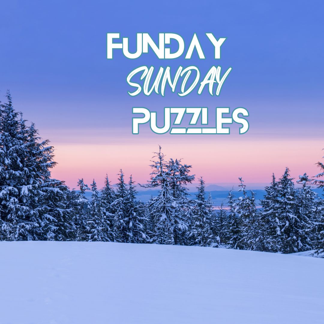 Funday Sunday Puzzles; word search and jigsaw puzzle.