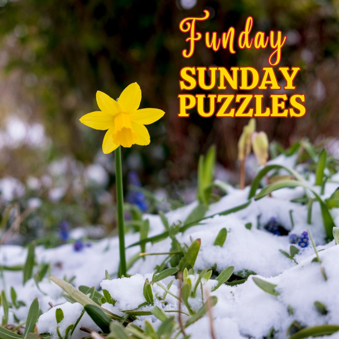 Funday Sunday Puzzles; Wordsearch and Jigsaw Fun.
