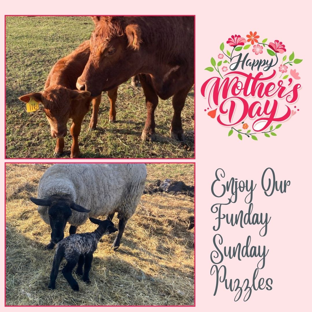 Funday Sunday Mothers Day 2026.