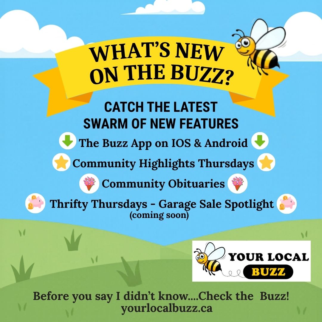 Your Local Buzz 4 Year Whats New 2026.