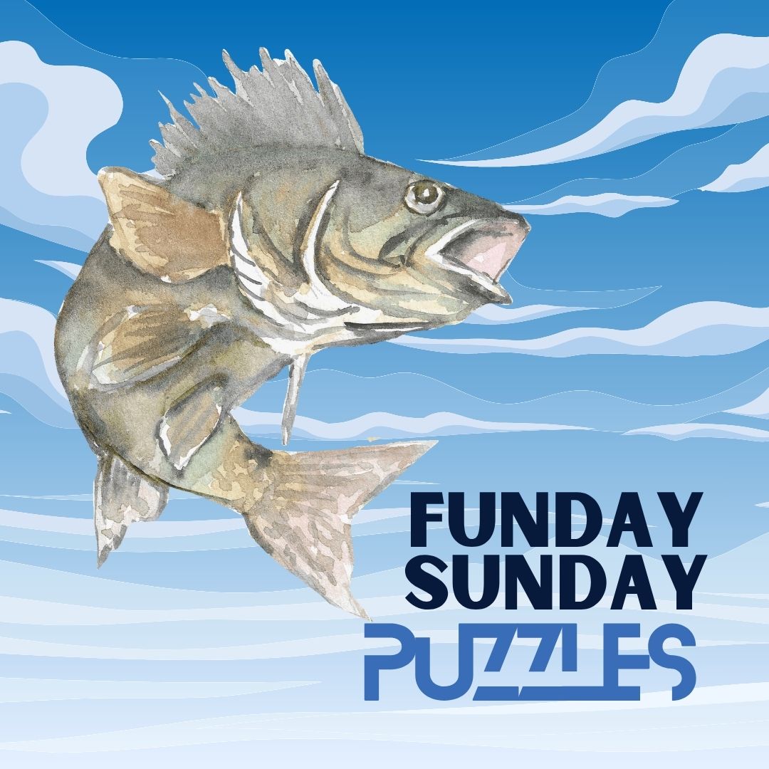 Funday Sunday Puzzles; Wordsearch and Jigsaw Fun.