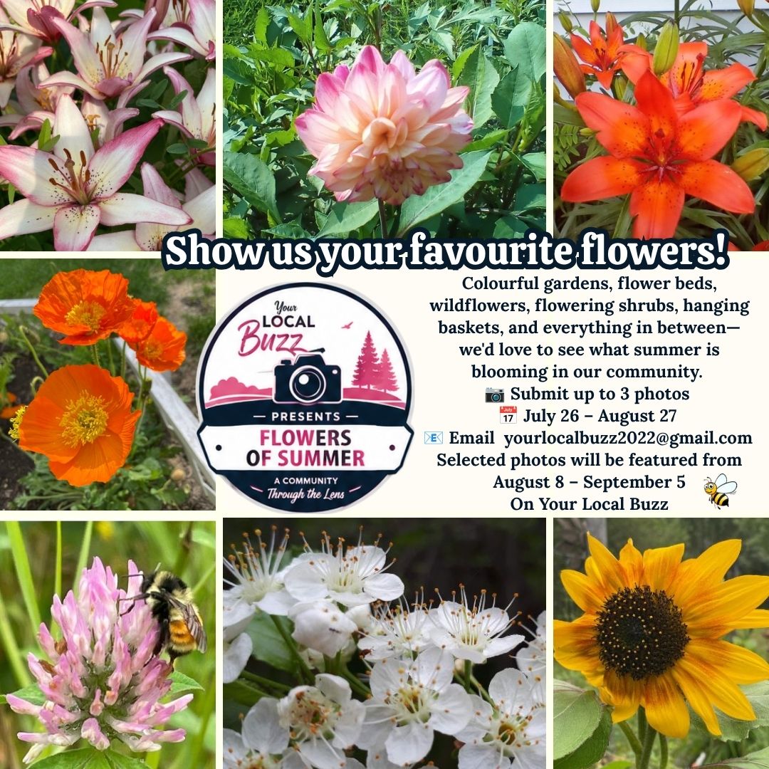Your Local Buzz Flowers of Summer August 8 to Sept 5, 2026.