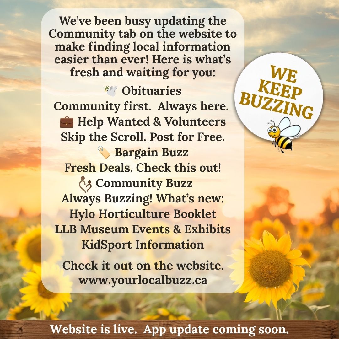 Your Local Buzz We Keep Buzzing.
