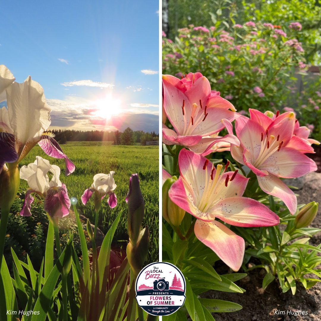 Flowers of Summer 2026.