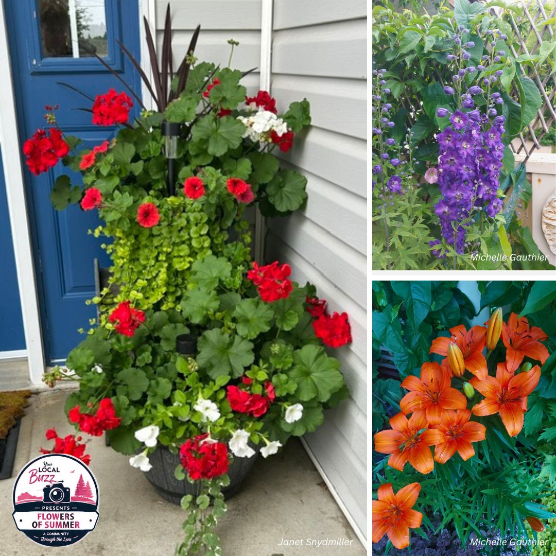 Flowers of Summer 2026.