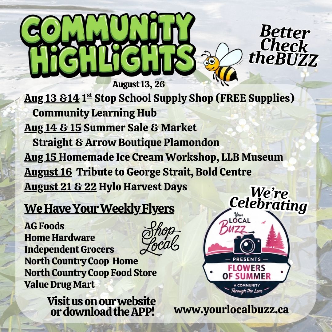 Your Local Buzz Update August 13 ,26.