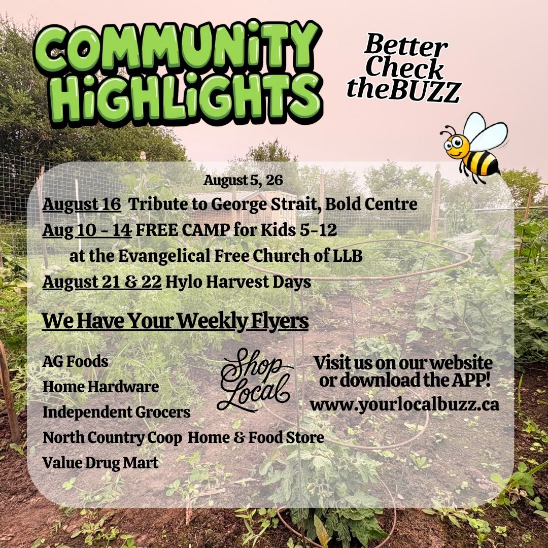 Your Local Buzz Update Aug 5, 2026.