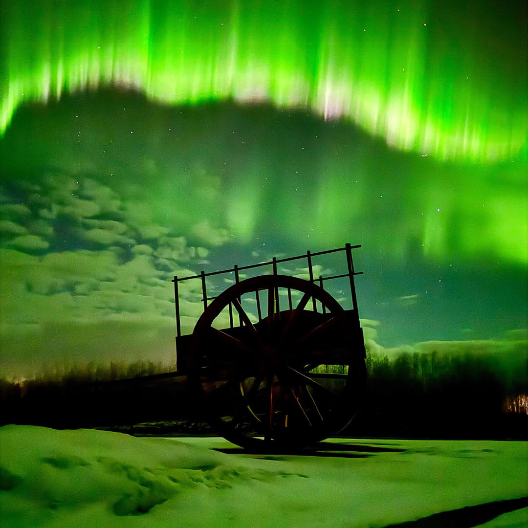 Muriel Cardinal Northern Lights Cart 2026.
