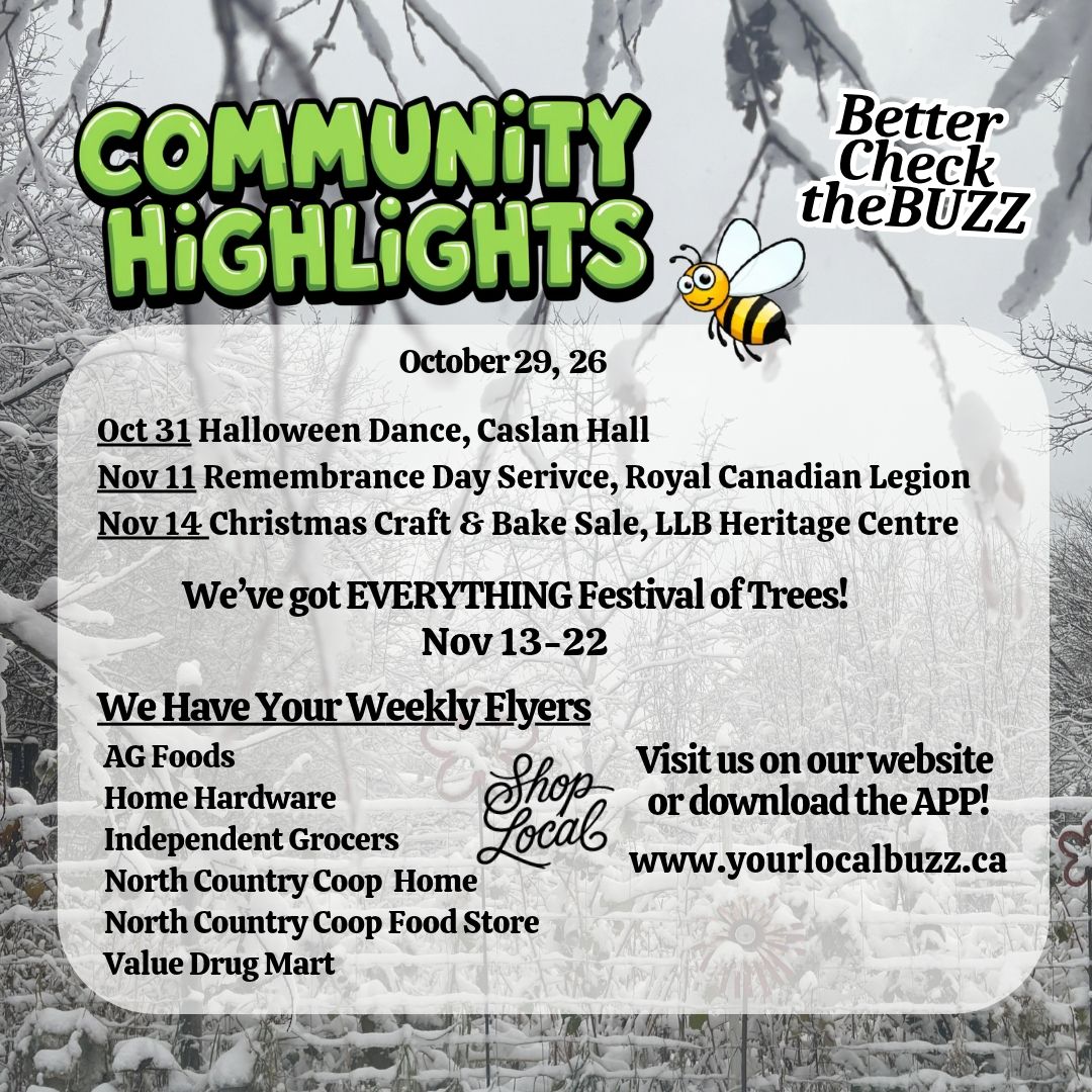 Your Local Buzz Update Oct 29,26.