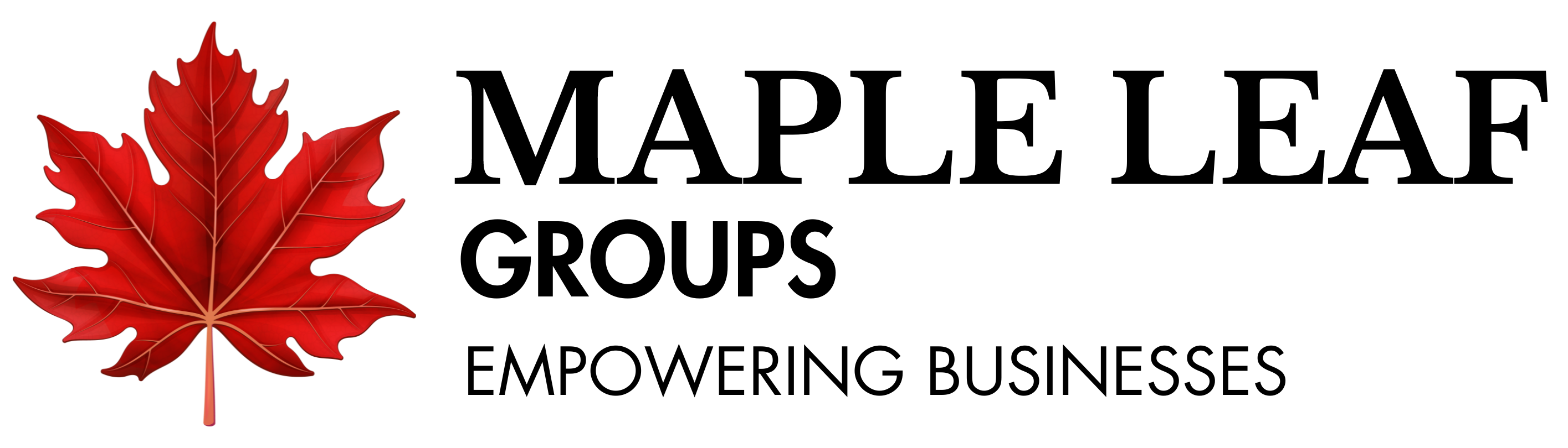 Maple Leap Groups