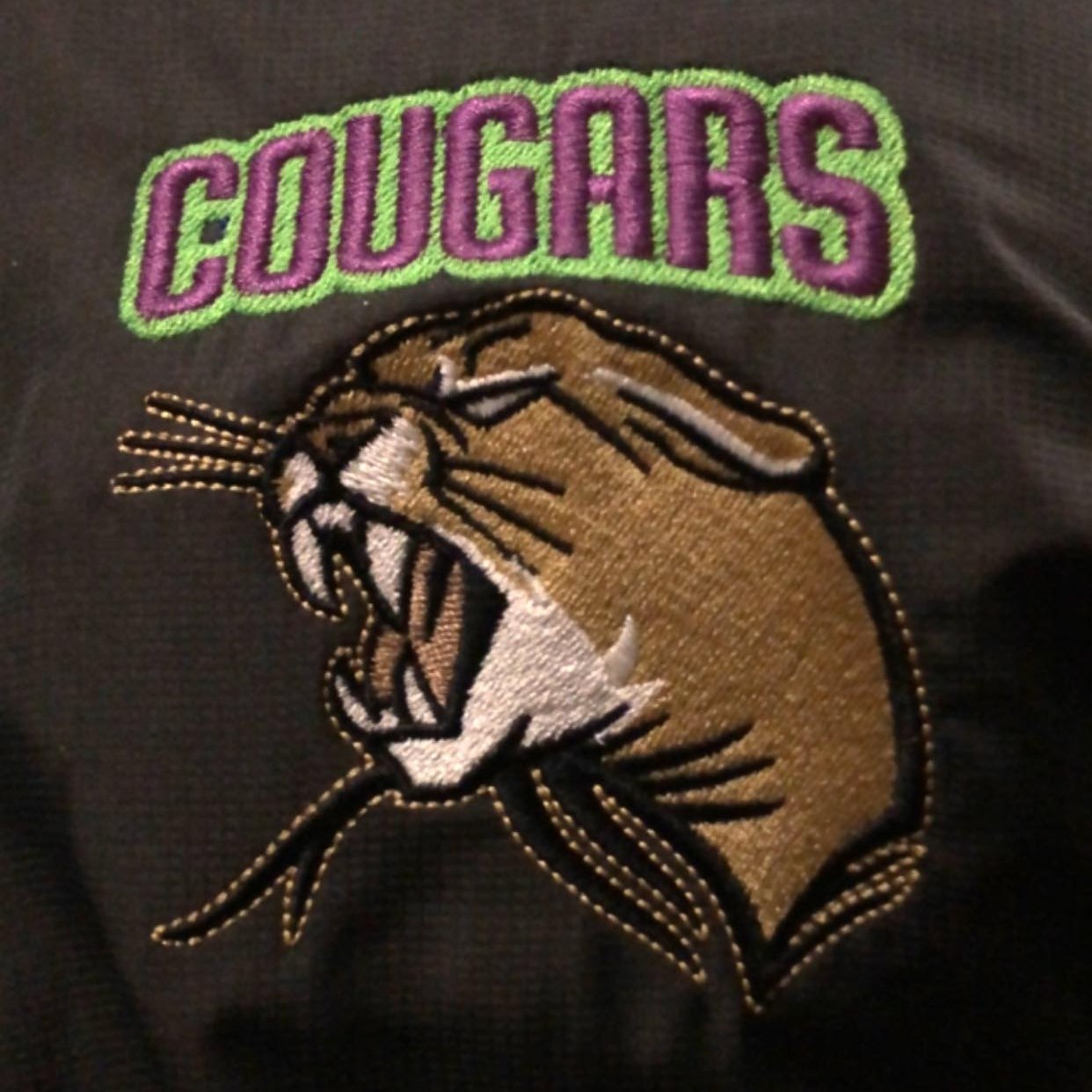 Plamondon Cougars Minor Hockey